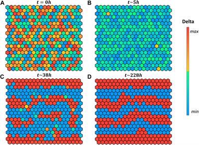 A Novel Hybrid Logic-ODE Modeling Approach to Overcome Knowledge Gaps